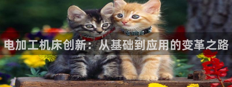 pg电子宝石传奇