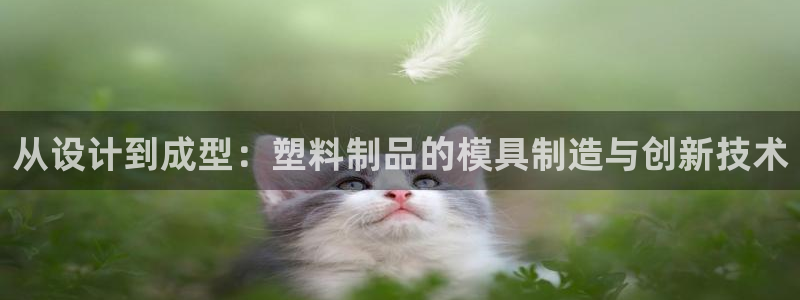 手机上的电子PG