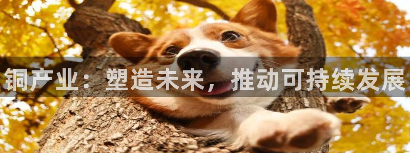 pg电子糖果连连爆技巧