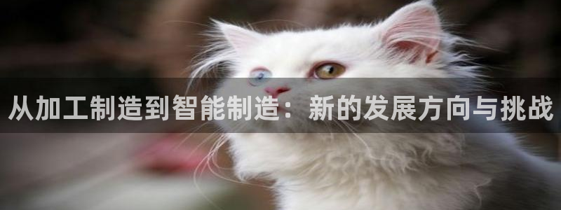 pg电子白天玩还是晚上