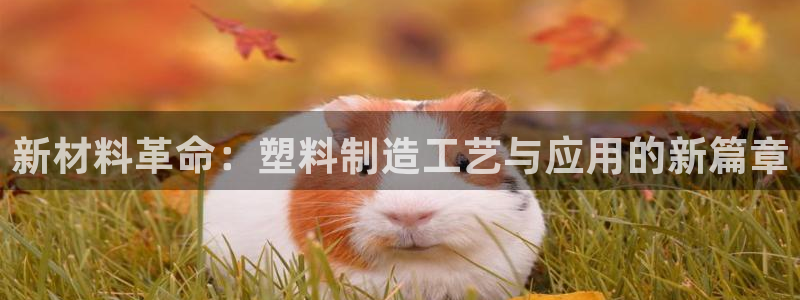 pg电子棋牌网站大全