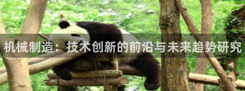 pg电子免费单机游戏