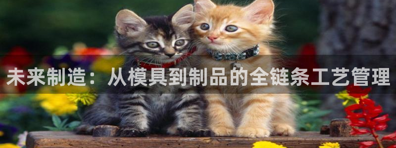 PG电子平台訫98db