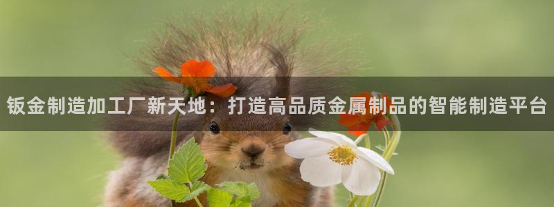 玩pG电子的软件