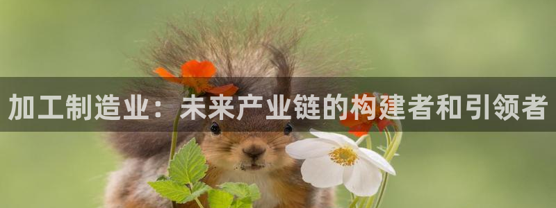 久发pg电子游戏网站