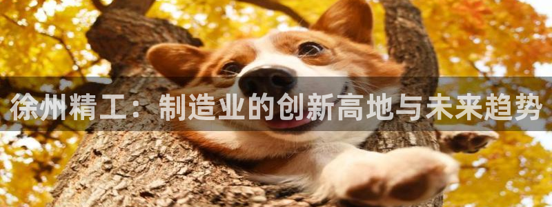 pg电子有没有诀窍