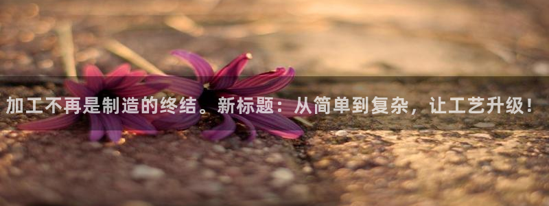 PG电子游戏入口