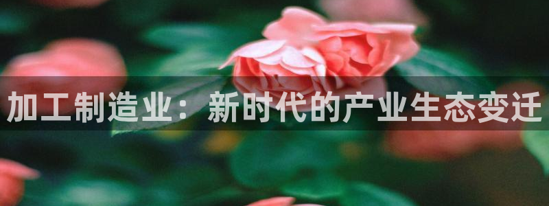 pg电子不会一直杀你