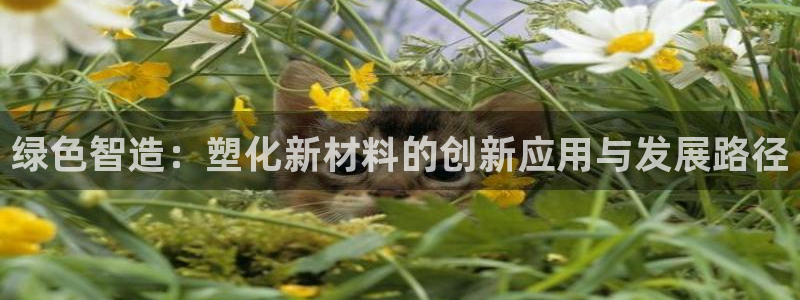 pg电子体育下载