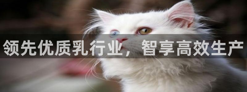 PG电子真人在线