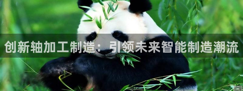 pg电子是怎么爆奖的