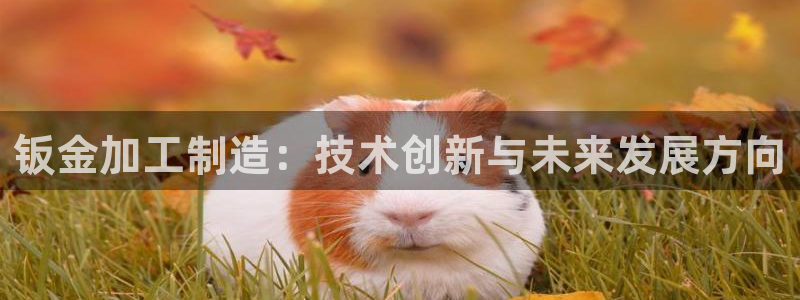 澳门PG电子网址