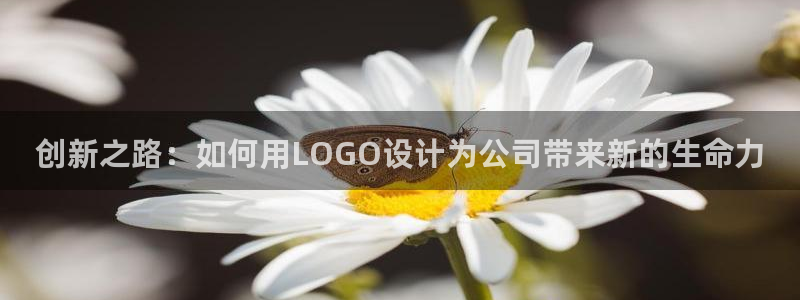 pg电子刚维护好能玩吗