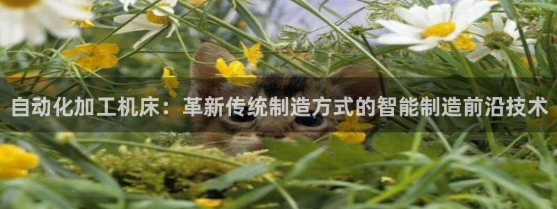 PG电子真人在线